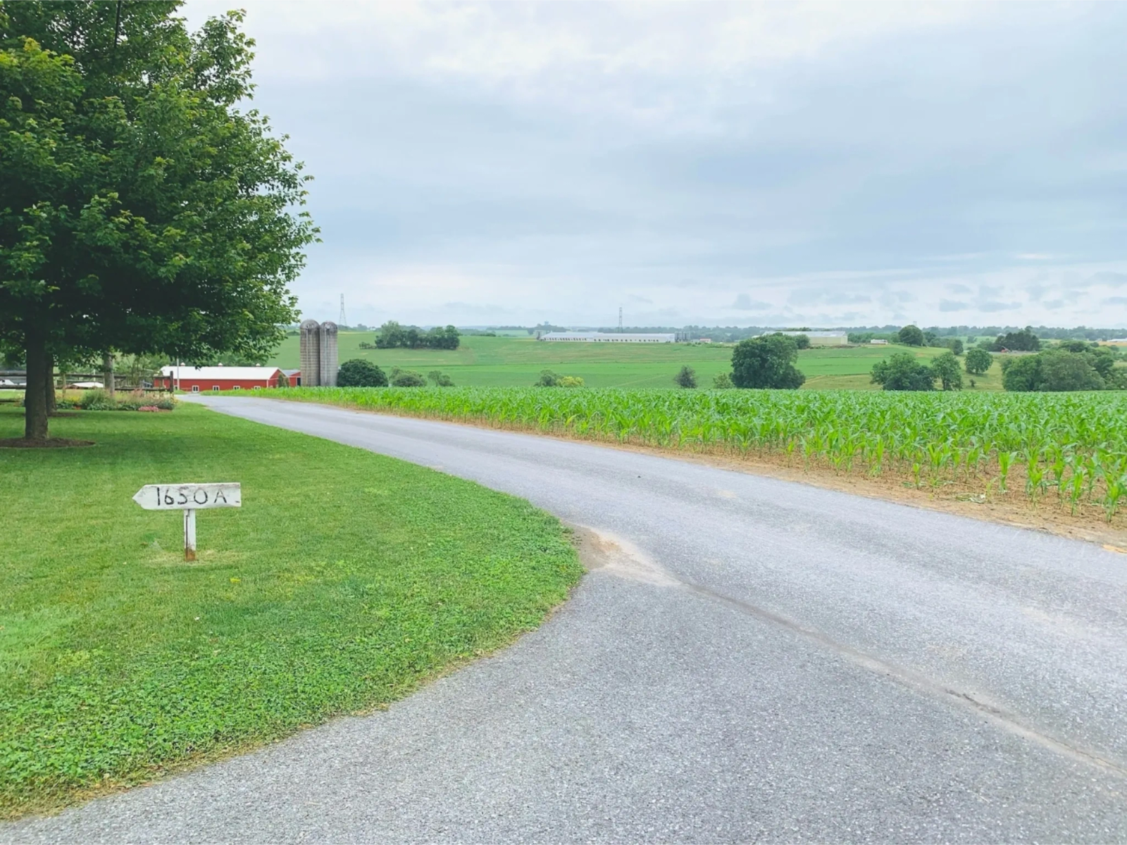 A quiet country road