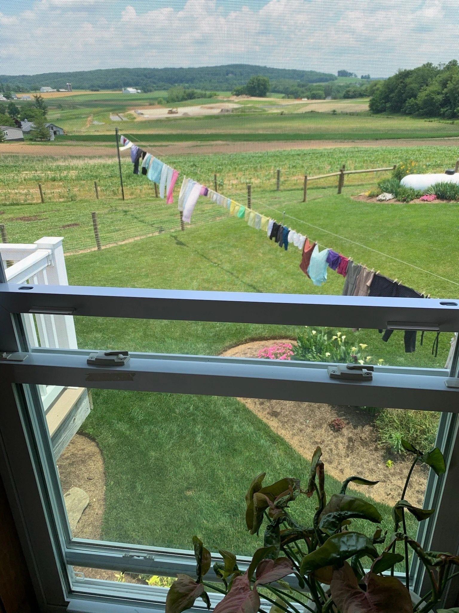 Laundry on the line across the farmland