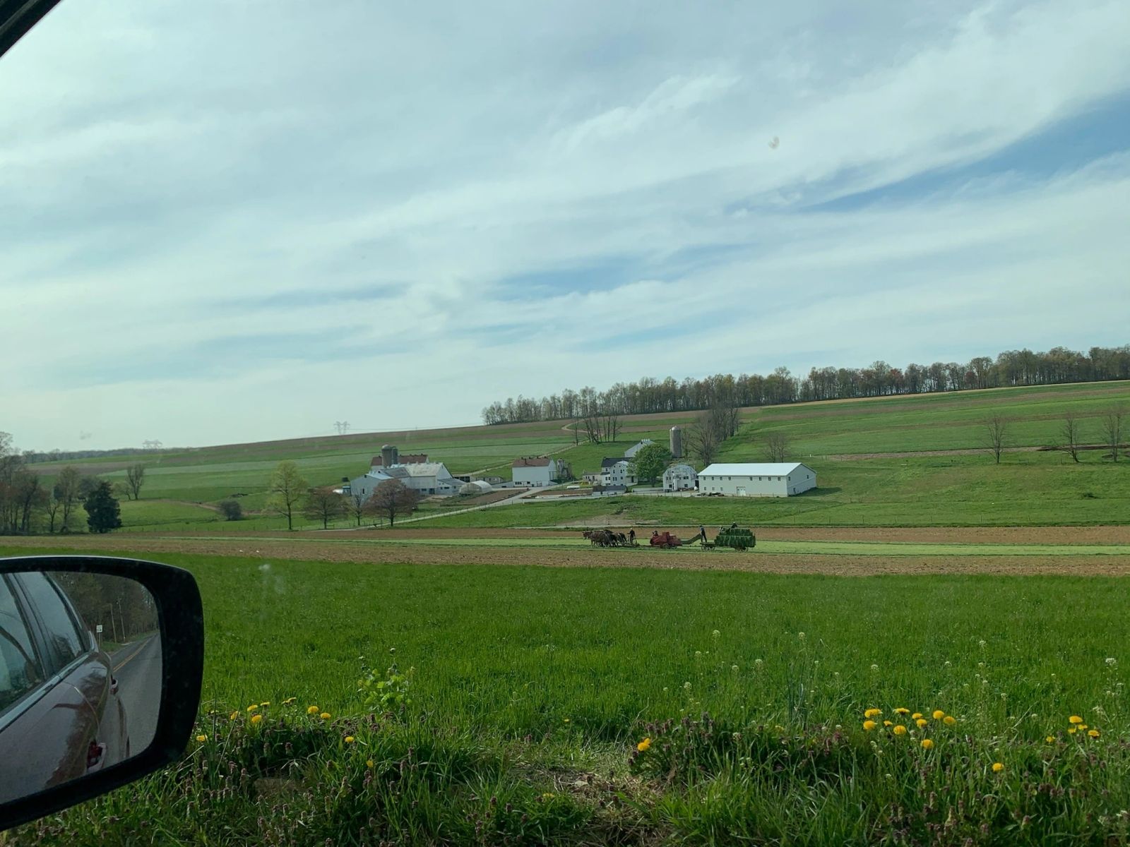 A wide valley view of farmland