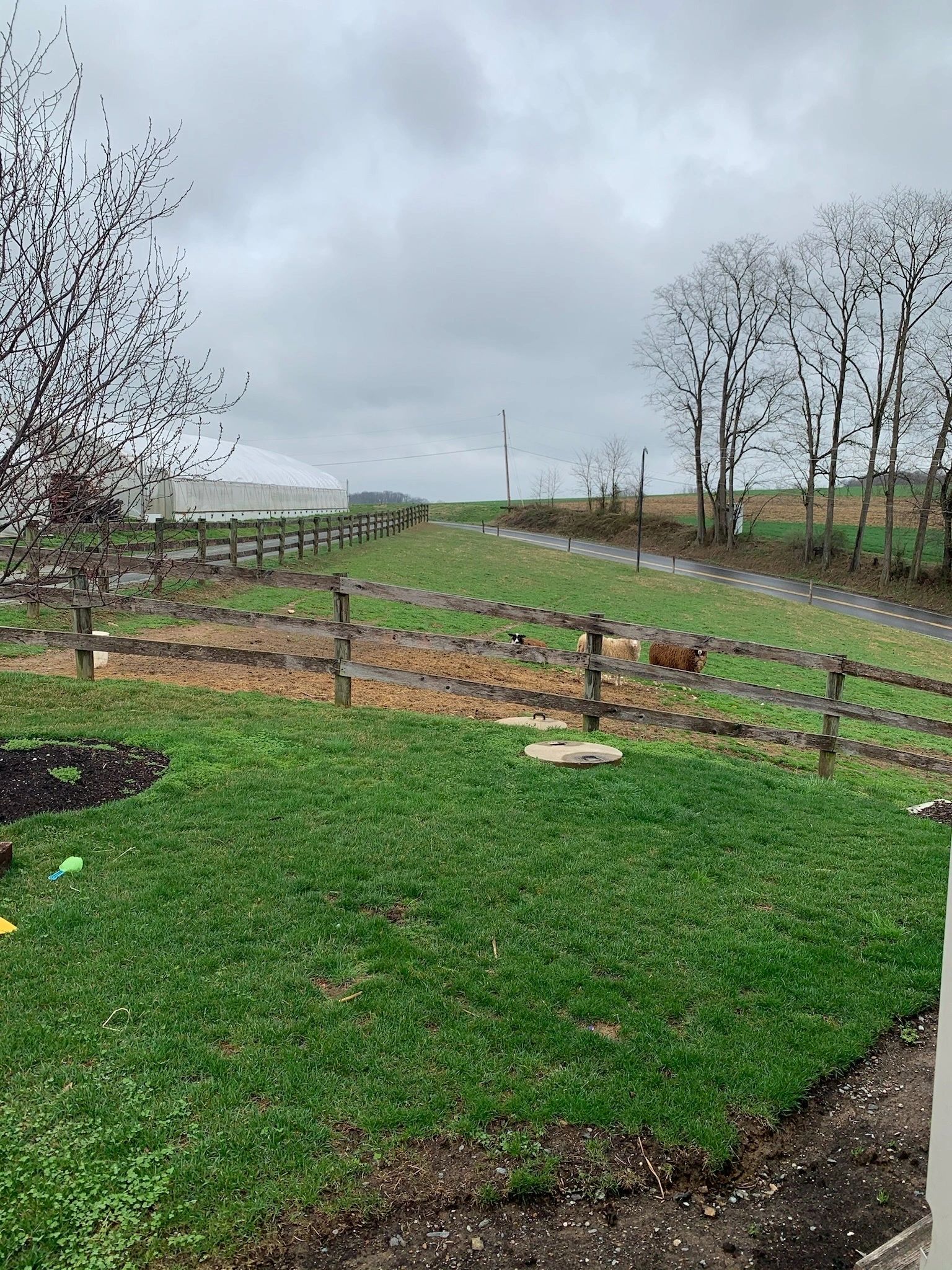 A fence line along a country lane